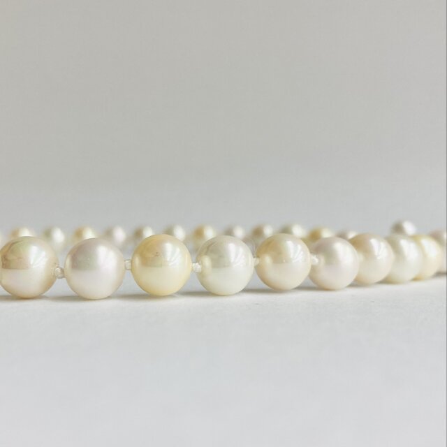 貝磨きパールホワイトmixオールノットネックレス/8mm約42cm/WH+