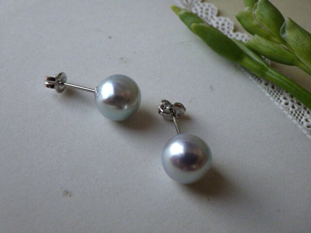 PTあこや真珠ナチュラルブルーのピアス | iichi 日々の暮らしを