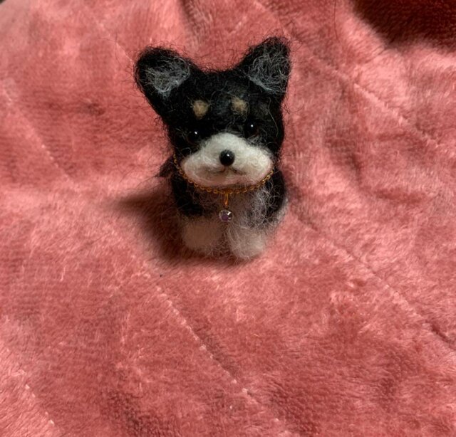 あぃん様 羊毛フェルト チワワ ハンドメイド 犬 あぃん様 羊毛フェルト チワワ ハンドメイド 犬