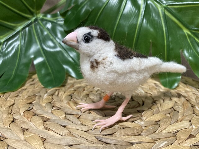 ☆K様オーダー品☆羊毛フェルト 十姉妹 | iichi 日々の暮らしを