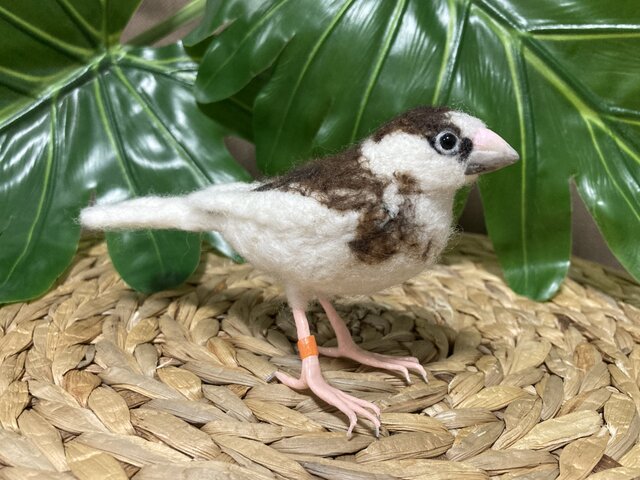 ☆K様オーダー品☆羊毛フェルト 十姉妹 | iichi 日々の暮らしを