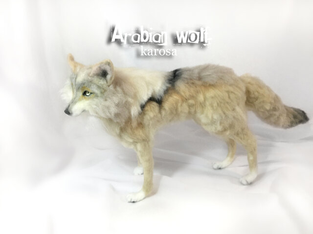 アラビアオオカミ オオカミ 狼 ウルフ ウルフドッグ 全身可動 羊毛