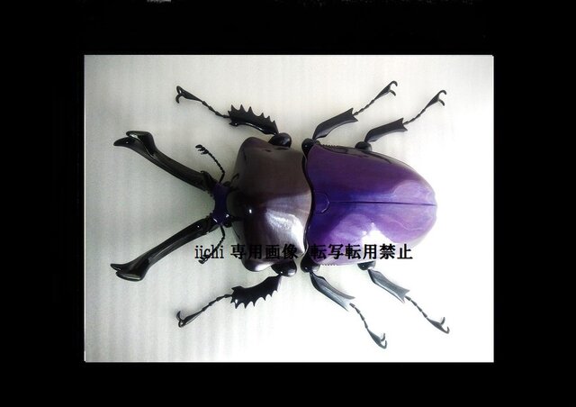 ニジイロクワガタ MEGA・BIG リアルフィギュア | iichi 日々の暮らしを