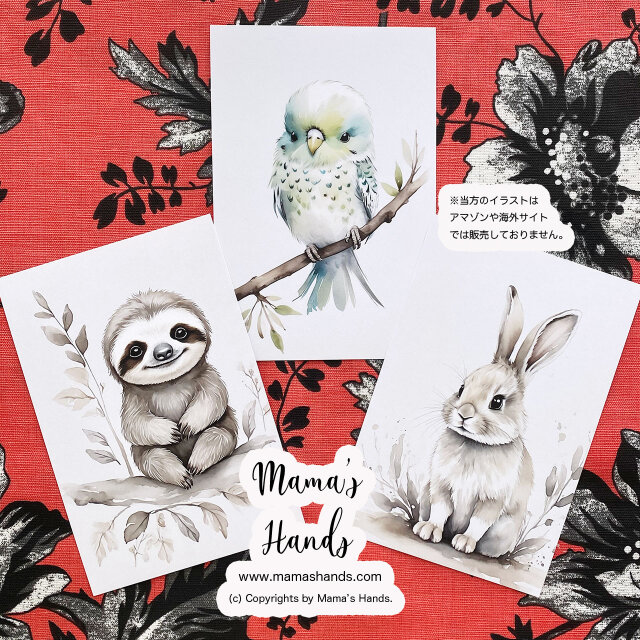 ナマケモノ 小鳥 うさぎ 水彩画 イラスト アート ３枚 動物 ハガキ ポストカード セット ♪