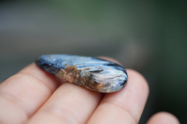 いろんな色☆高品質☆ブルーピーターサイト s1187 | iichi 日々の