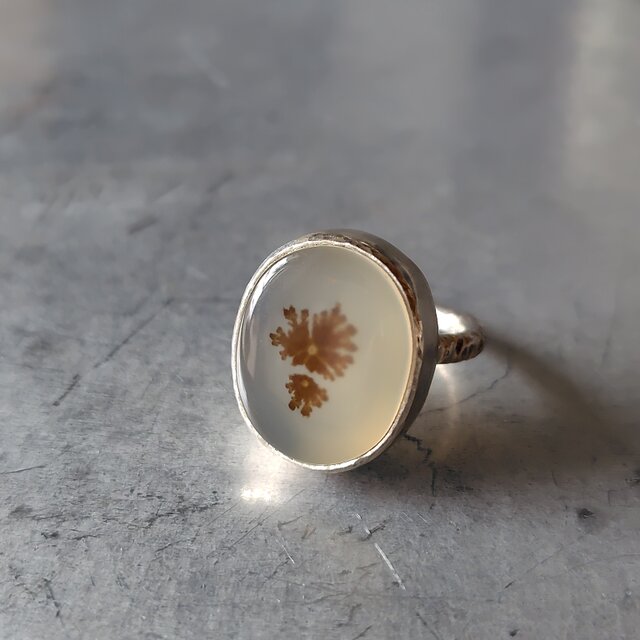 デンドリティックアゲートシルバーリング#11.5～12