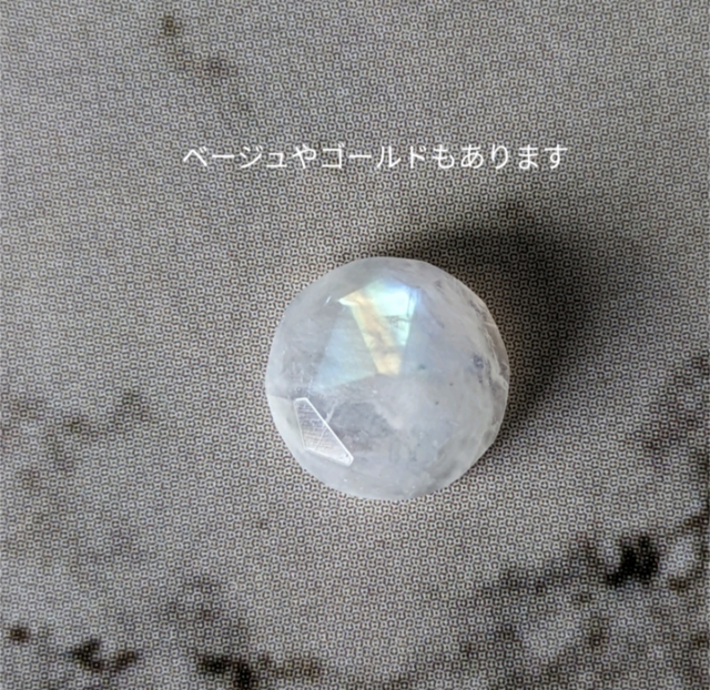 すんごい！アンモナイトのネックレスだよ！ 500x0.jpg