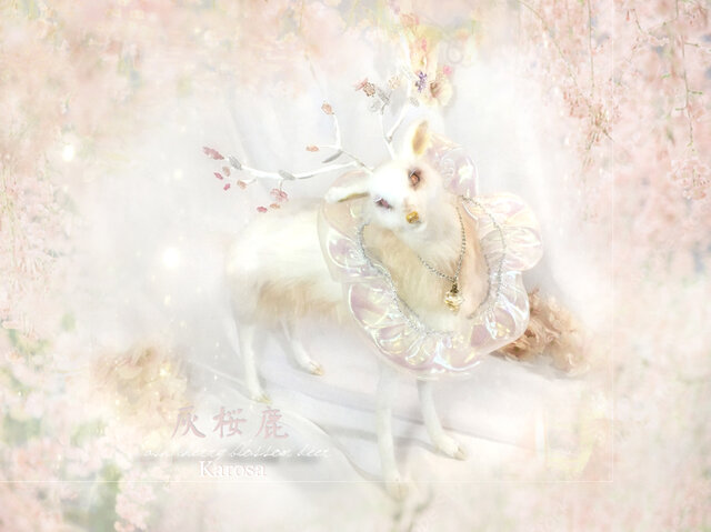 羊毛フェルト☆星屑集め部隊(灰白さん) 羊毛フェルト☆星屑集め部隊(灰白さん)