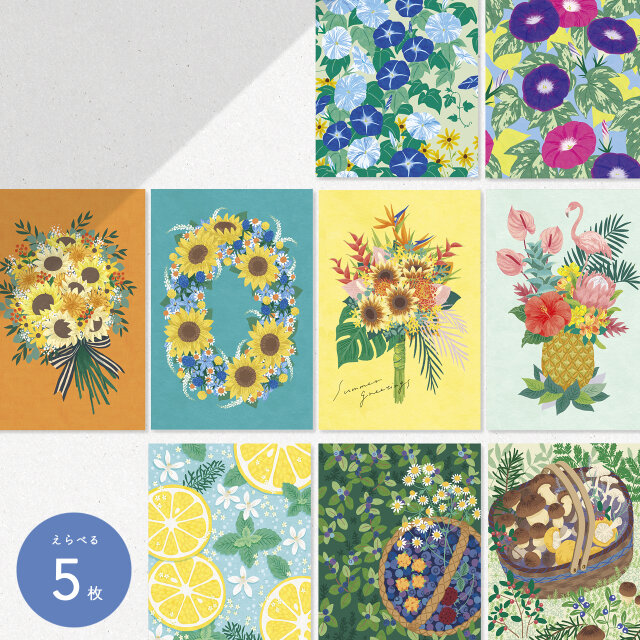 Summer ポストカード / 選べる５枚セット