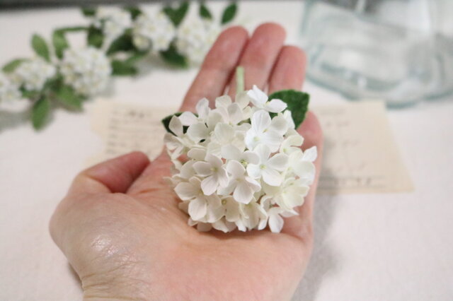 it-6642a646c5c00-1200.jpg
