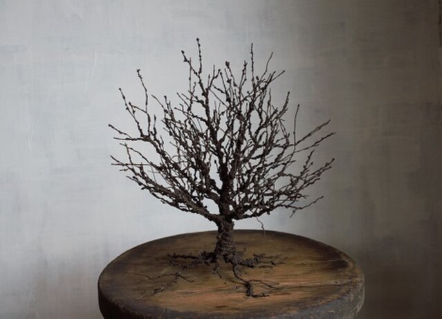 ワイヤーワークオブジェ 樹形・欅 | iichi 日々の暮らしを心地よくする