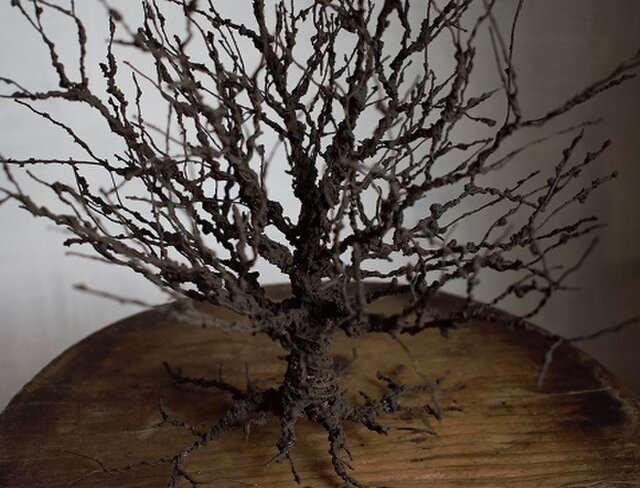 ワイヤーワークオブジェ 樹形・欅 | iichi 日々の暮らしを心地よくする