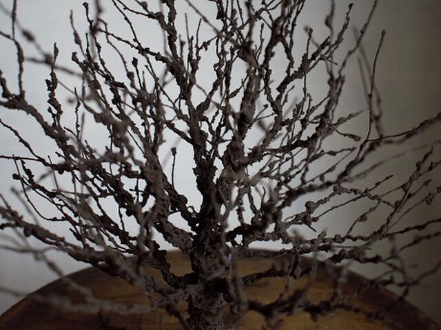 ワイヤーワークオブジェ 樹形・欅 | iichi 日々の暮らしを心地よくする