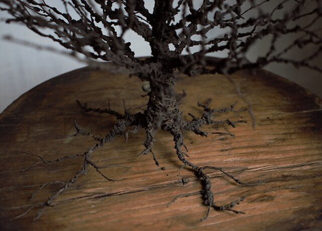 ワイヤーワークオブジェ 樹形・欅 | iichi 日々の暮らしを心地よくする