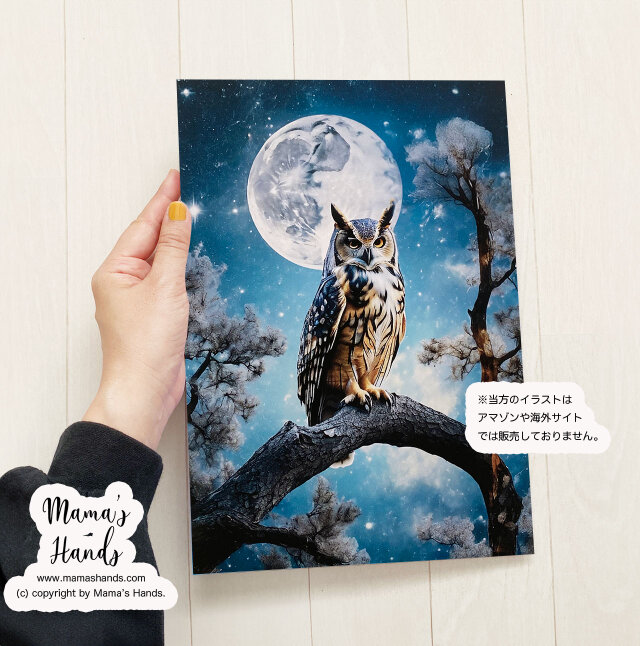 都内で A4 スピリチュアル 宇宙 神秘的な フクロウと夜空の ポスター 絵画