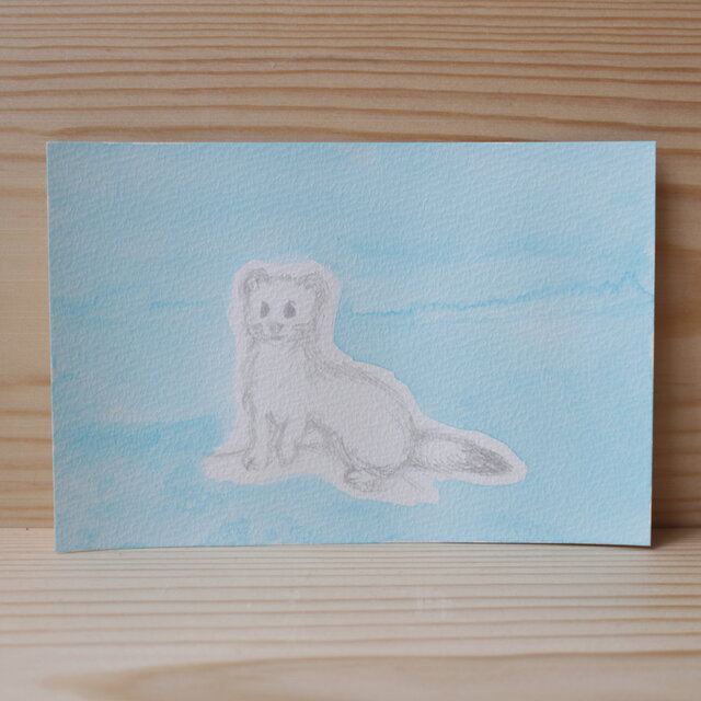 旅する空の動物　エゾオコジョ　