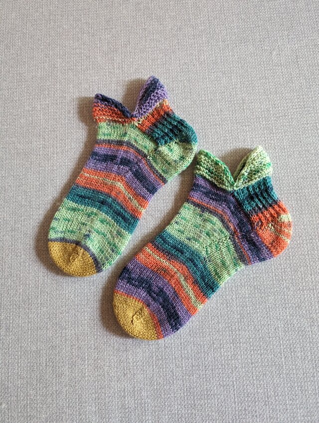 No.1457 うつぼソックス242匹め