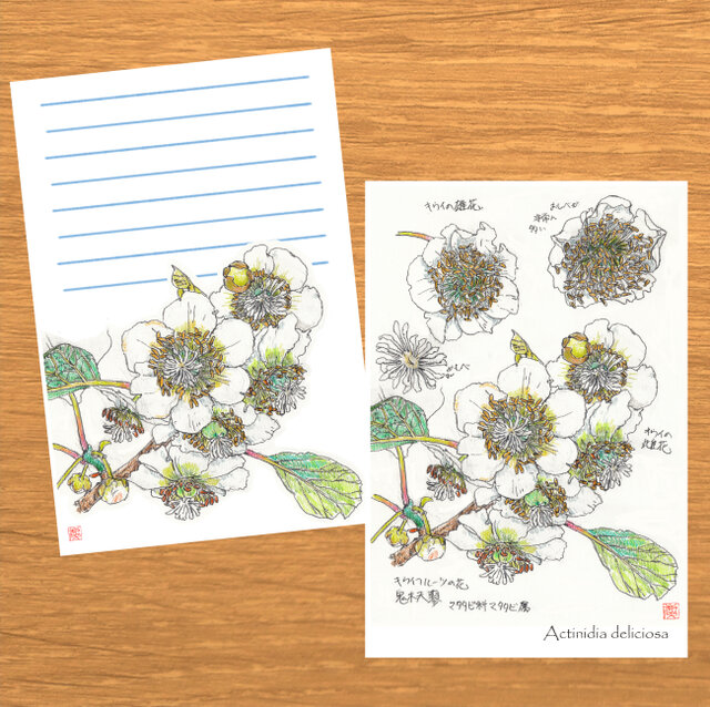 手書き作品 「幸せの薔薇」(B4) it-66647f1e3131c-1200.jpg