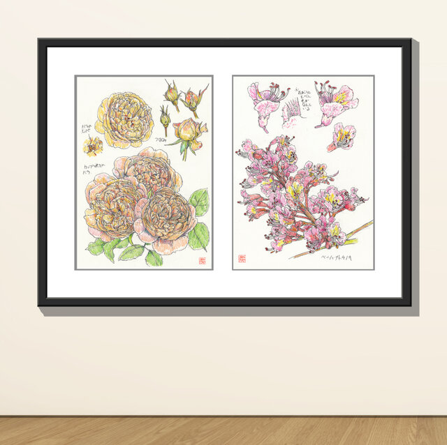 お好きな植物を、博物画風のB4植物画で2枚並べてお描きします。B2