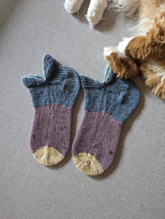 No.1461 うつぼソックス246匹め