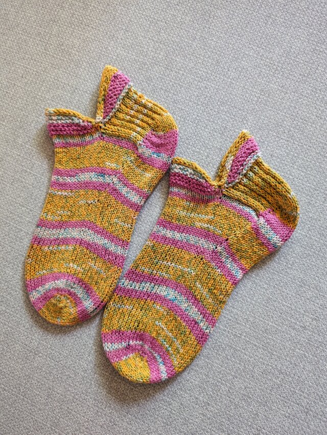 No.1462 夏うつぼソックス247匹め