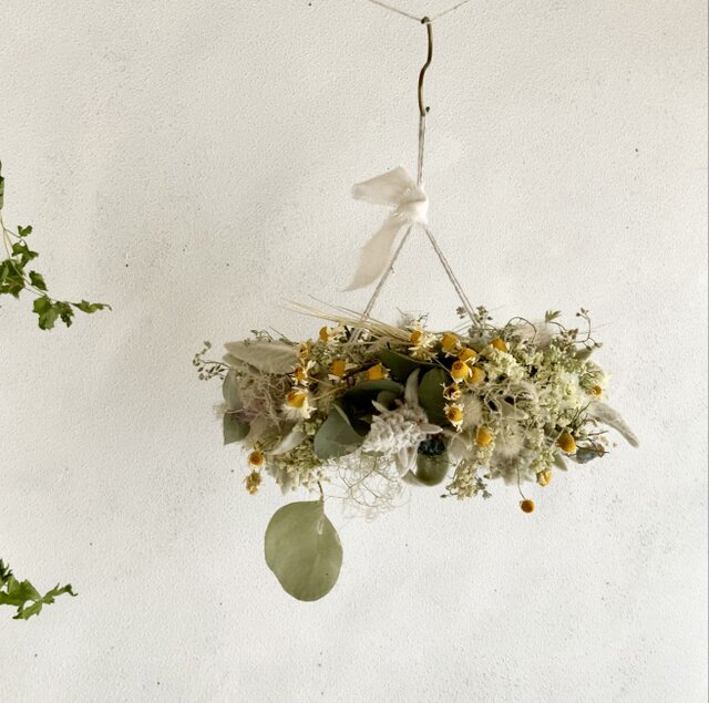 初夏のフライングリース ハーブとスモークツリー | iichi 日々の暮らし