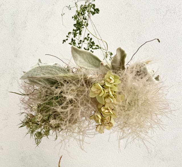初夏のフライングリース スモークツリーと紫陽花 | iichi 日々の