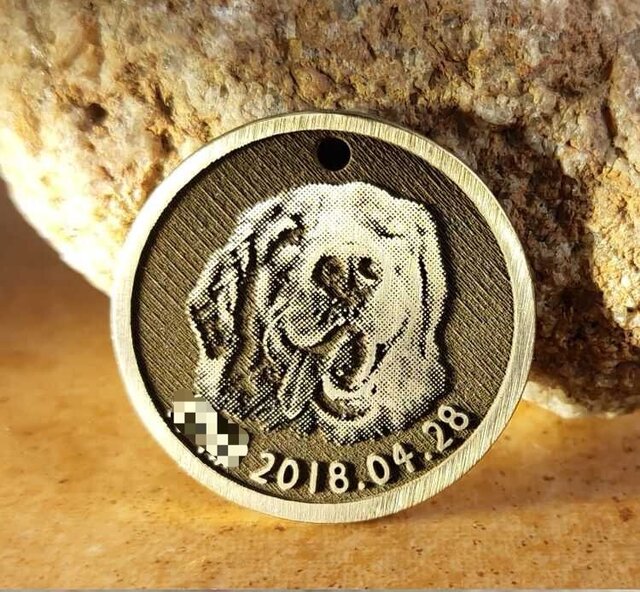 【希少】FROWO 500 犬エンボス タンク＆ホヤ刻印 it-66a0f2482456a-1200.jpg