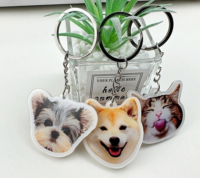 送料無料】うちの子 アクリルキーホルダー 犬 猫 うさぎ ペット