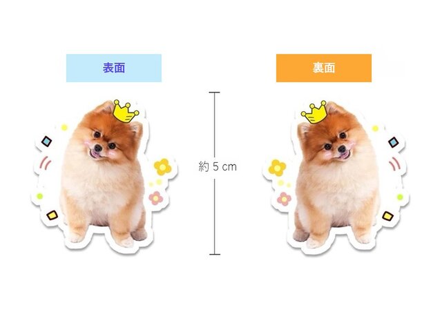 めぐ★犬・猫・うさぎ・ペット似顔絵イラストキーホルダー nayu✩様専用☆犬・猫・うさぎ・ペット似顔絵ハクビシンイラスト