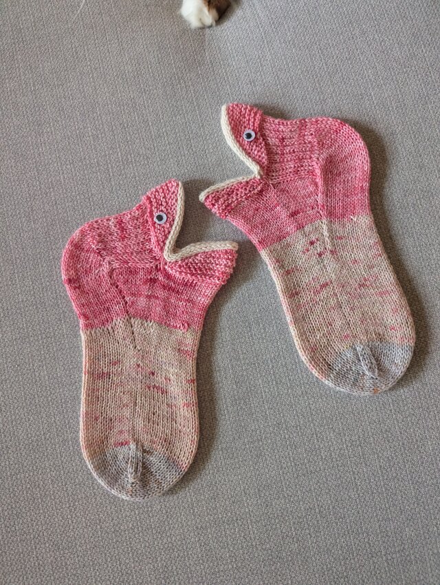 No.1470 うつぼソックス257匹め