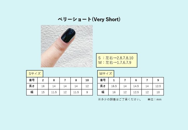 開店セール】ホワイト×ブルー 手描き花 ニュアンスネイルチップ