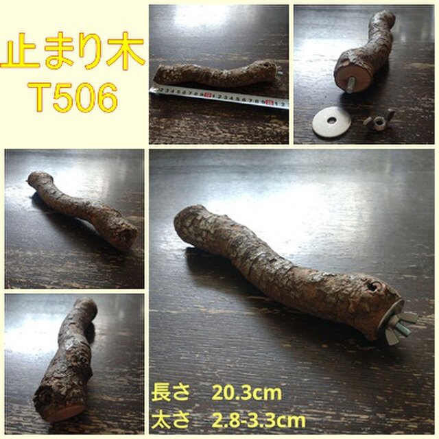 止まり木（枝：TOY-08-015）T506