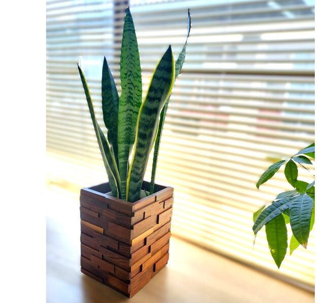 鉢カバー　天然木　観葉植物 it-66b0638d62db6-1200.jpg