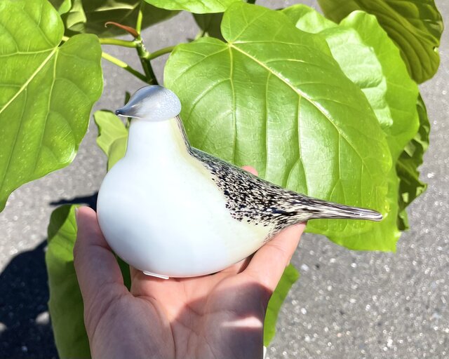 限定 Oiva Toikka オイバトイッカ Wagtail イッタラ 箱付き | iichi
