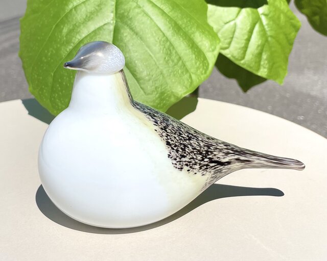 限定 Oiva Toikka オイバトイッカ Wagtail イッタラ 箱付き | iichi