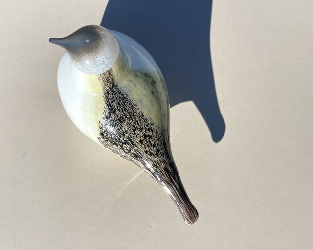 限定 Oiva Toikka オイバトイッカ Wagtail イッタラ 箱付き | iichi