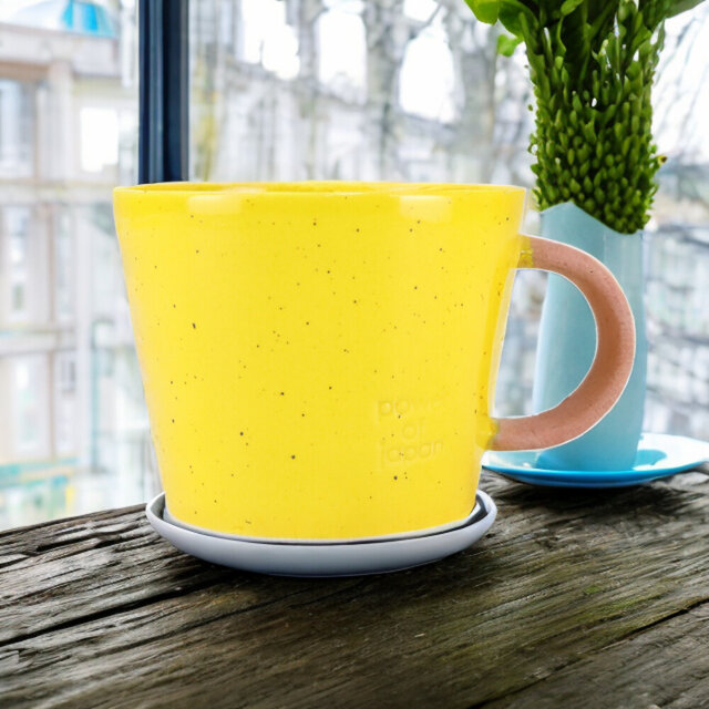 デカマグ　イエロー【美濃焼】