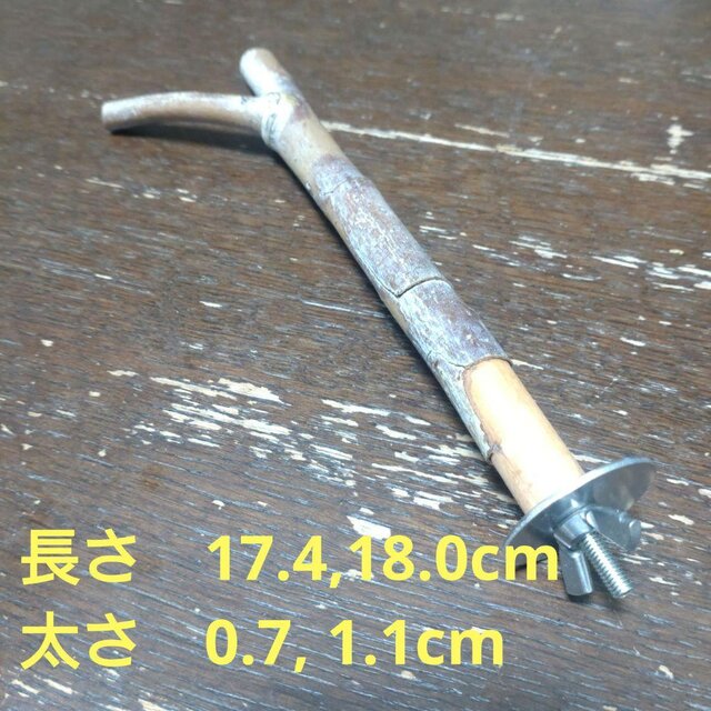 止まり木（枝：TOY-08-015）T552 | iichi 日々の暮らしを心地よくする