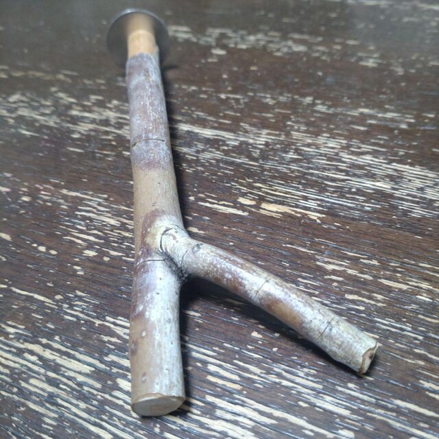 止まり木6本と1本おまけ。 止まり木6本と1本おまけ。 31ViIYeqVHL._AC_UF350,