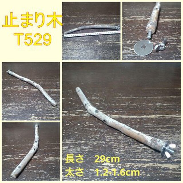 止まり木（枝：TOY-08-015）T529