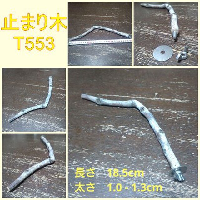 止まり木（枝：TOY-08-015）T553