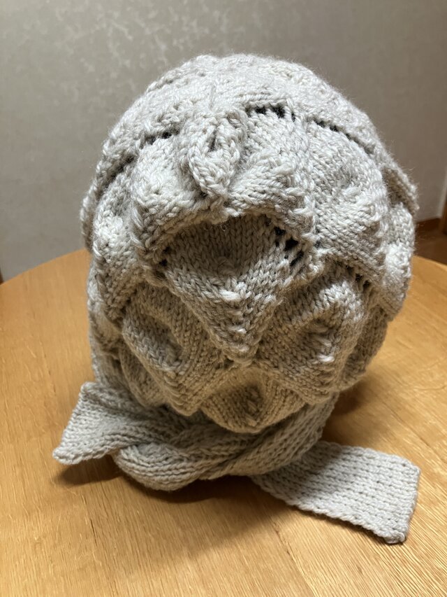手編み ソフィーフード ソフィーフード 編みました🧶 耳も首もあたたかくて、最近重宝してます