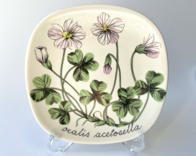 ARABIA エステリトムラ Botanica Oxalis acetosella コミヤマカタバミ