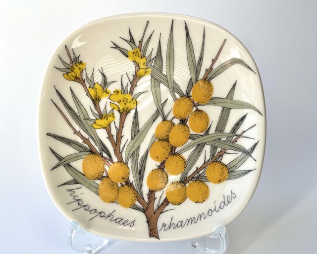 ARABIA エステリトムラ Botanica Hippophae rhamnoides サジー