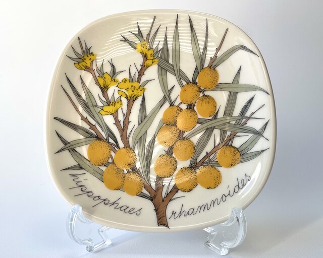 ARABIA エステリトムラ Botanica Hippophae rhamnoides サジー