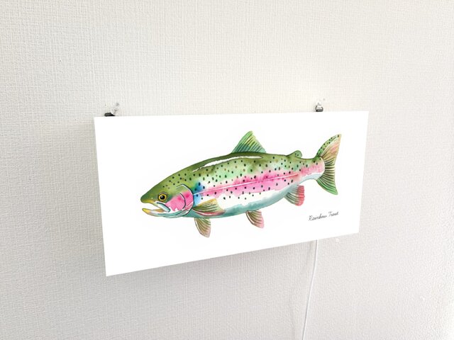 オーダー無料】虹鱒 レインボートラウト 釣り 看板 置物 雑貨