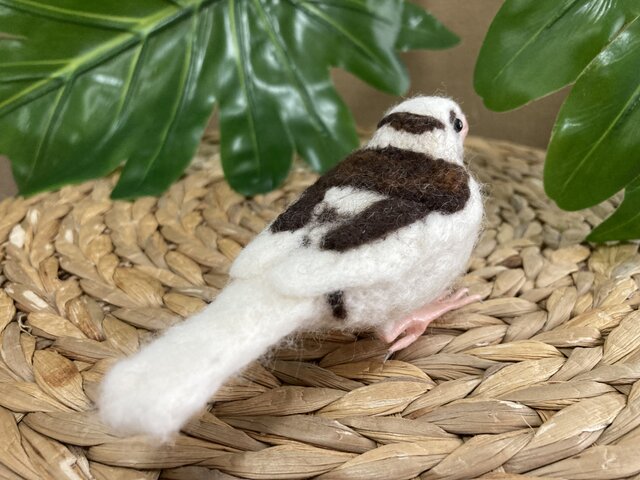 ❁れの様❁オーダーのお品です Y様オーダー品 十姉妹 | iichi 日々の暮らしを心地よくする