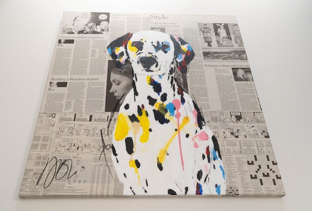 Dalmatian / ダルメシアン | iichi 日々の暮らしを心地よくする