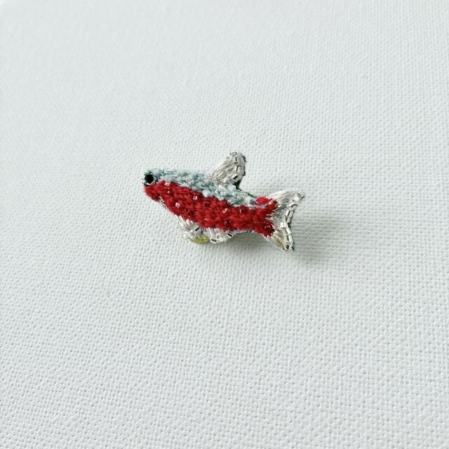 赤とブルーのコントラストがかわいい！水中をきらきらと泳ぐ熱帯魚